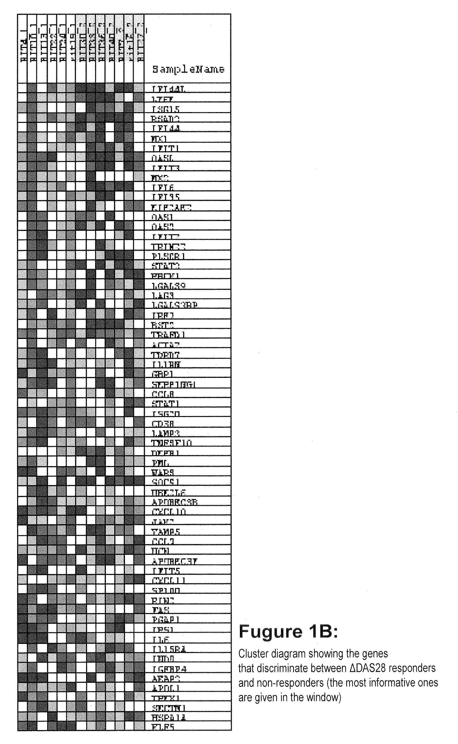 Method for prognosticating the clinical response of a patient to B-lymphocyte inhibiting or depleting therapy