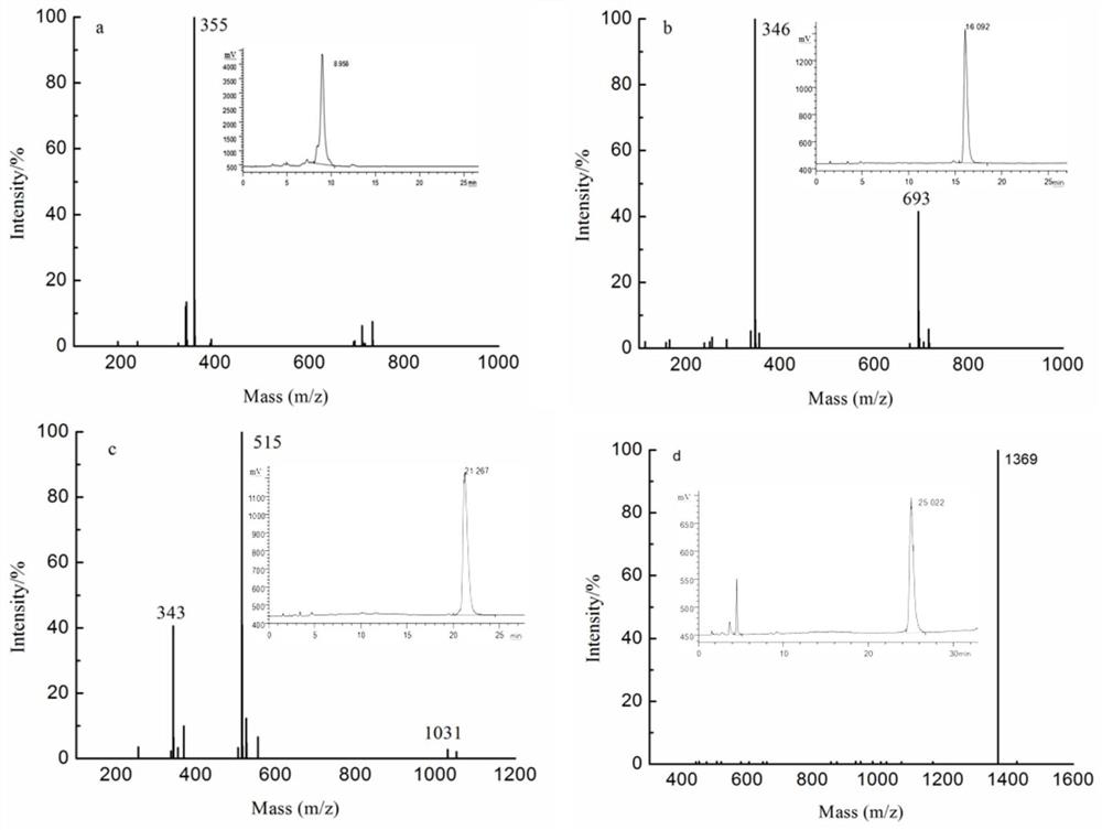 Application of mannose glucuronic acid oligosaccharides and polysaccharides and derivatives in preparation of drugs for treating and/or preventing aging