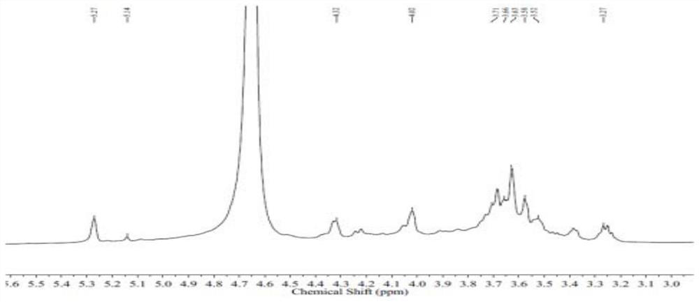 Application of mannose glucuronic acid oligosaccharides and polysaccharides and derivatives in preparation of drugs for treating and/or preventing aging