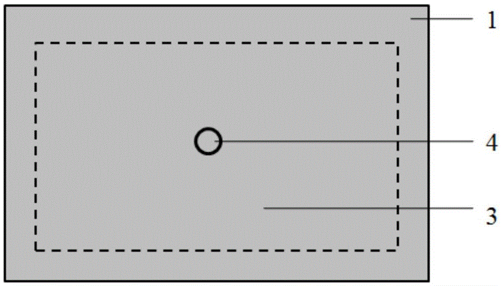 Carrier for controlling graphene crystal nucleus growth