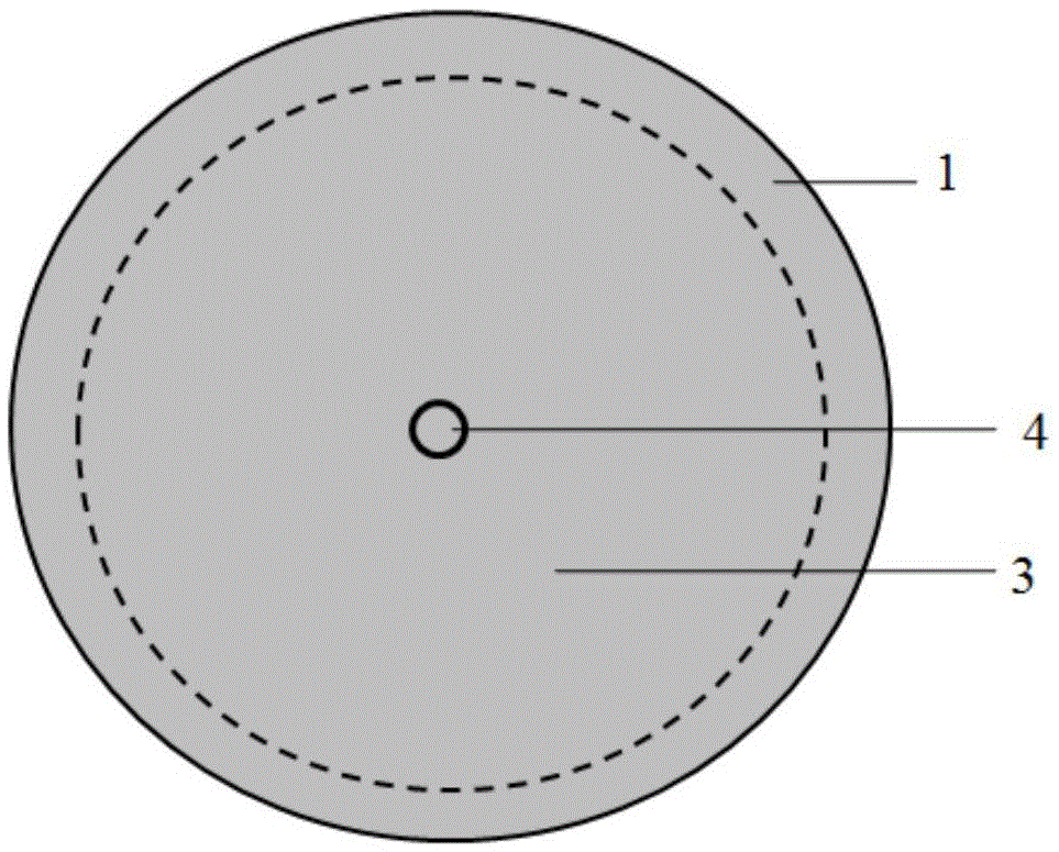 Carrier for controlling graphene crystal nucleus growth