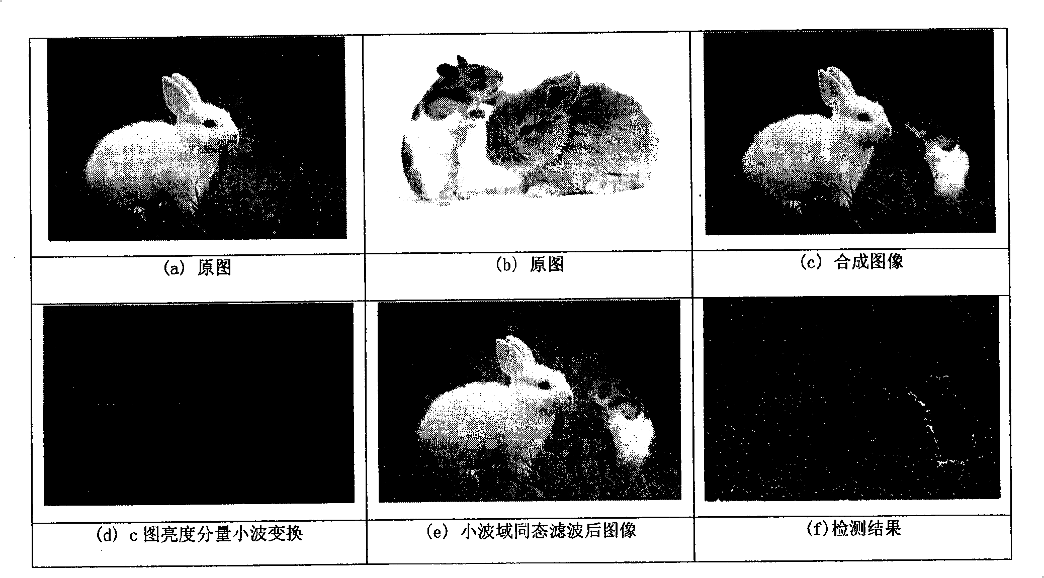 Method for detecting cooked image based on small wave domain homomorphic filtering