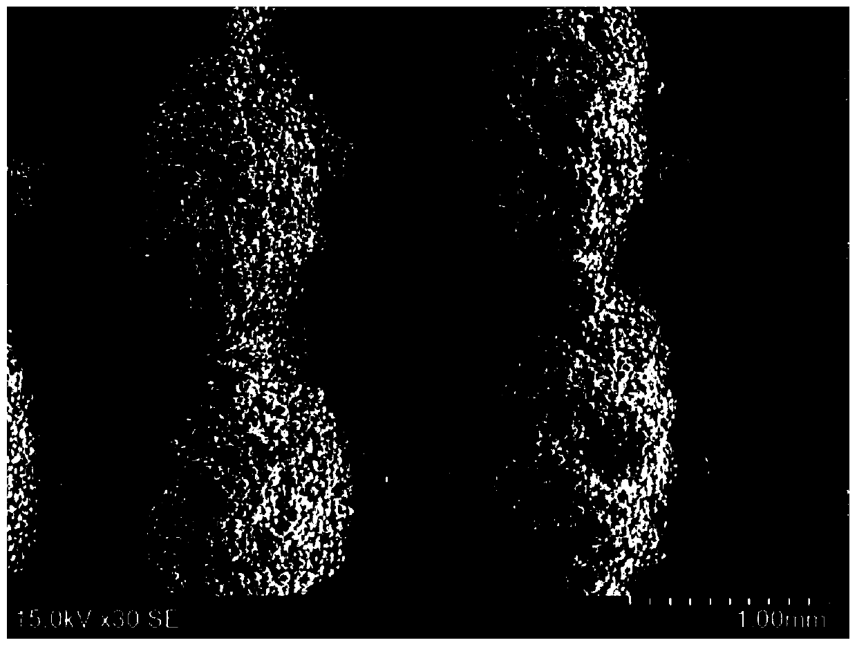 Titanium metal-biological ceramic bone tissue engineering scaffold and preparation method thereof