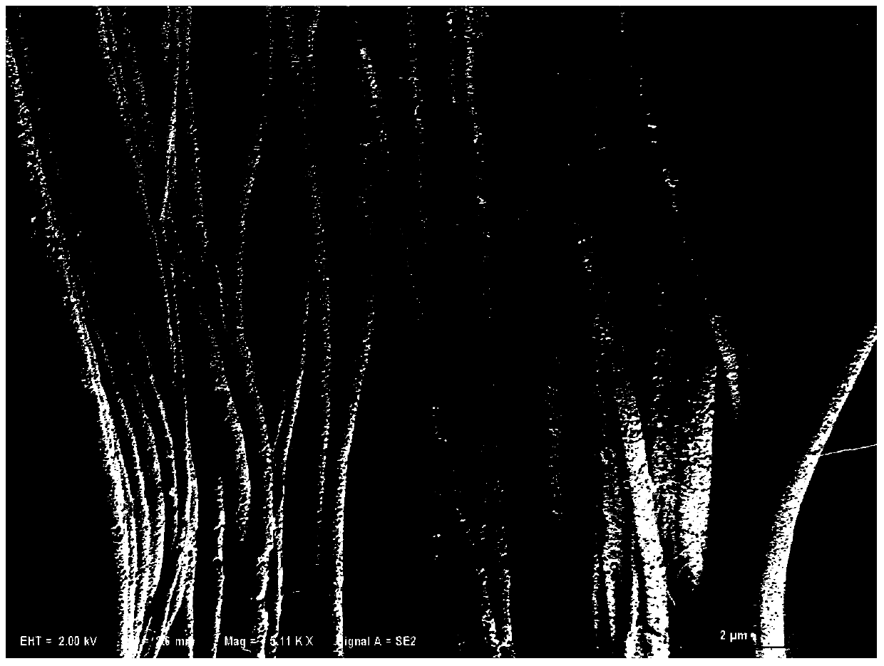 A kind of preparation method of orientation alignment barium titanate nanofiber