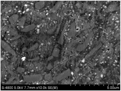 Method for synthesizing Al4O4C nanometer particle reinforced aluminum matrix composite material in situ