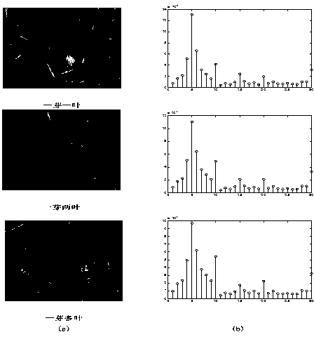 Multi-resolution LBP textural feature extracting method