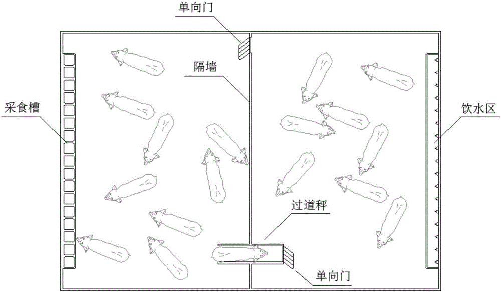 Physiological data acquisition method of living animal group