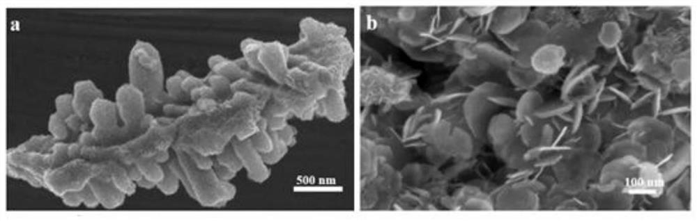 Preparation method of NiCoOx/graphene lithium ion battery negative electrode material