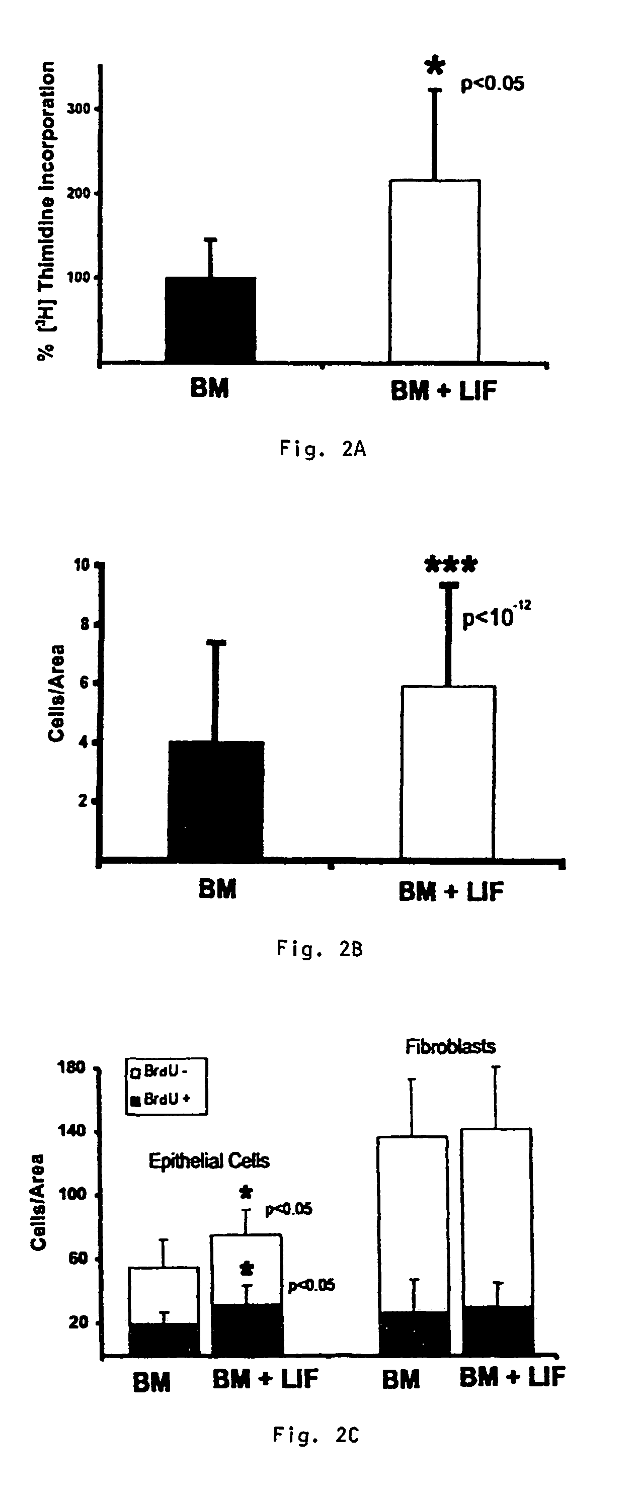 Organotypic intestinal culture and methods of use thereof