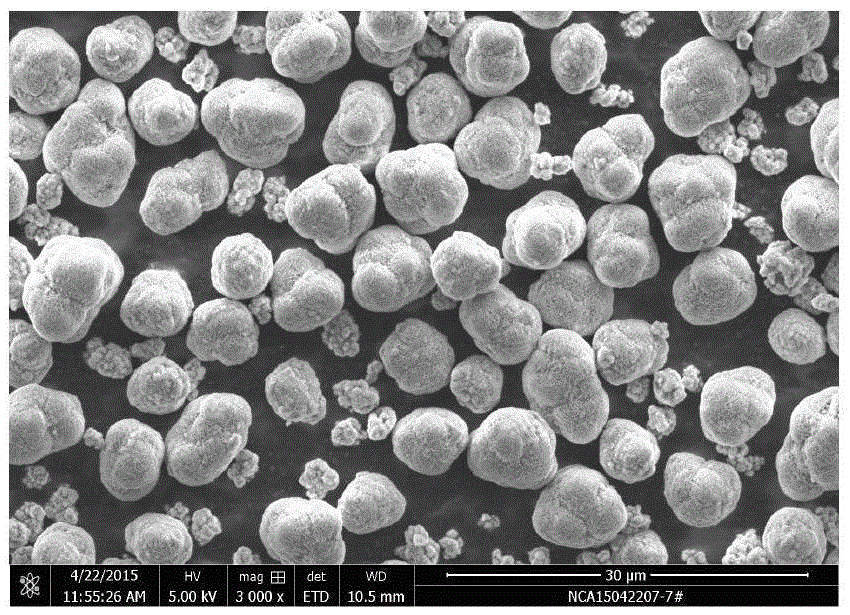 Nickel-cobalt-aluminium oxide precursor, nickel-cobalt-aluminium oxide and preparation method therefor