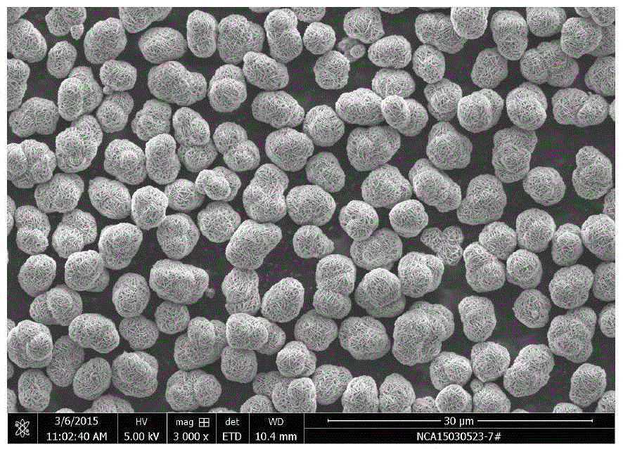 Nickel-cobalt-aluminium oxide precursor, nickel-cobalt-aluminium oxide and preparation method therefor