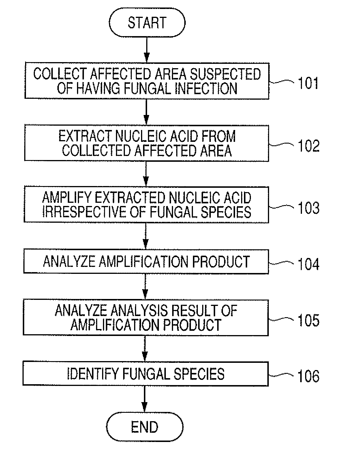 Probe set, probe carrier, and method for determining and identifying fungus