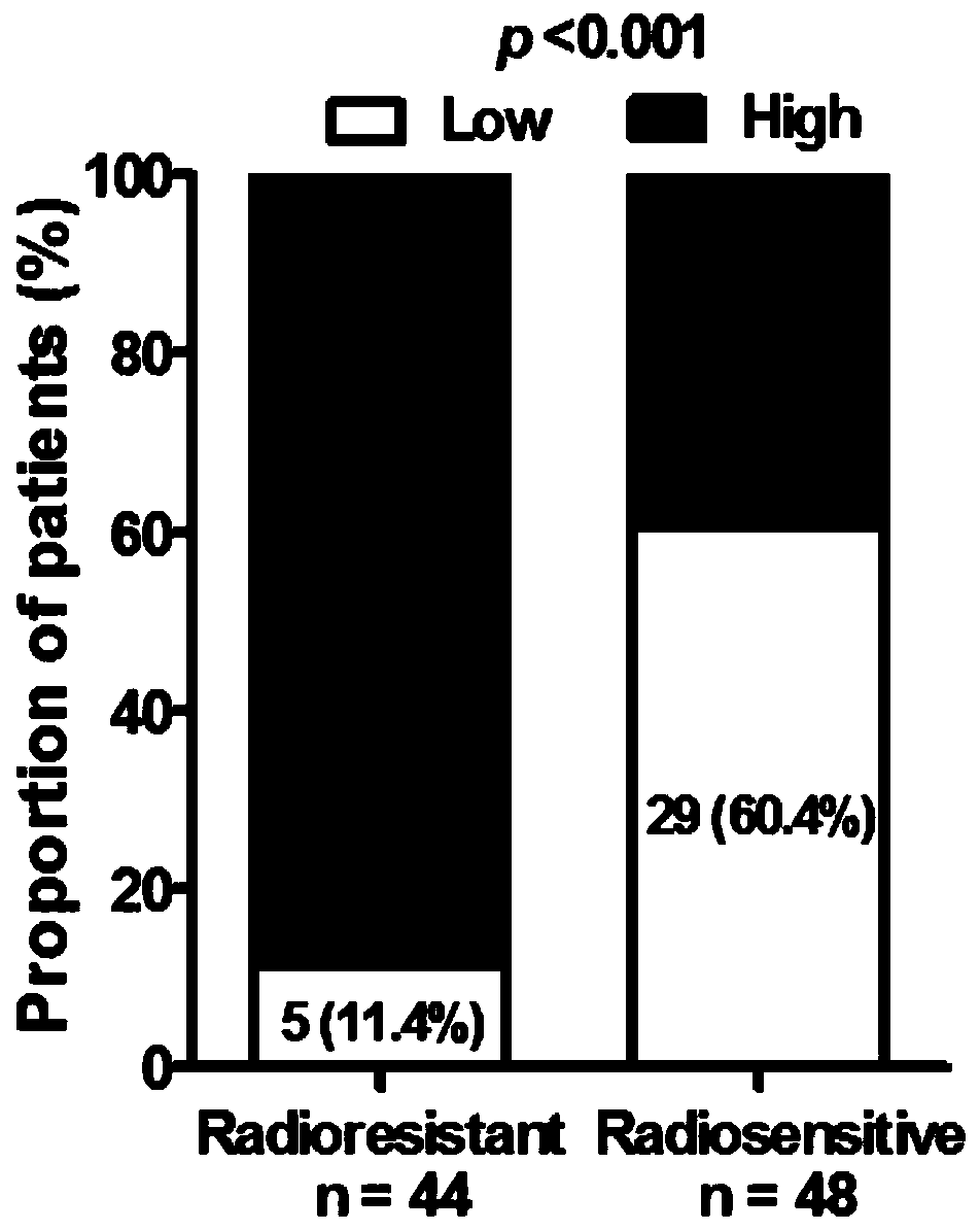 Application of reagents for detecting the expression level of long-chain non-coding RNA PVT1 in the preparation of diagnostic reagents for nasopharyngeal carcinoma