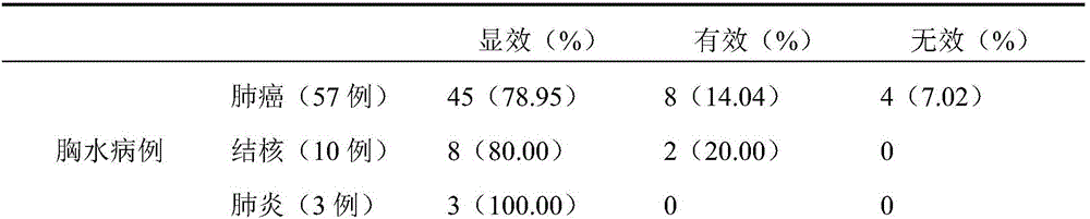 External traditional Chinese medicine composition for treating hydrothorax and ascites