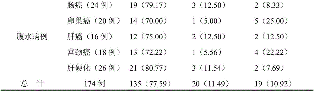 External traditional Chinese medicine composition for treating hydrothorax and ascites