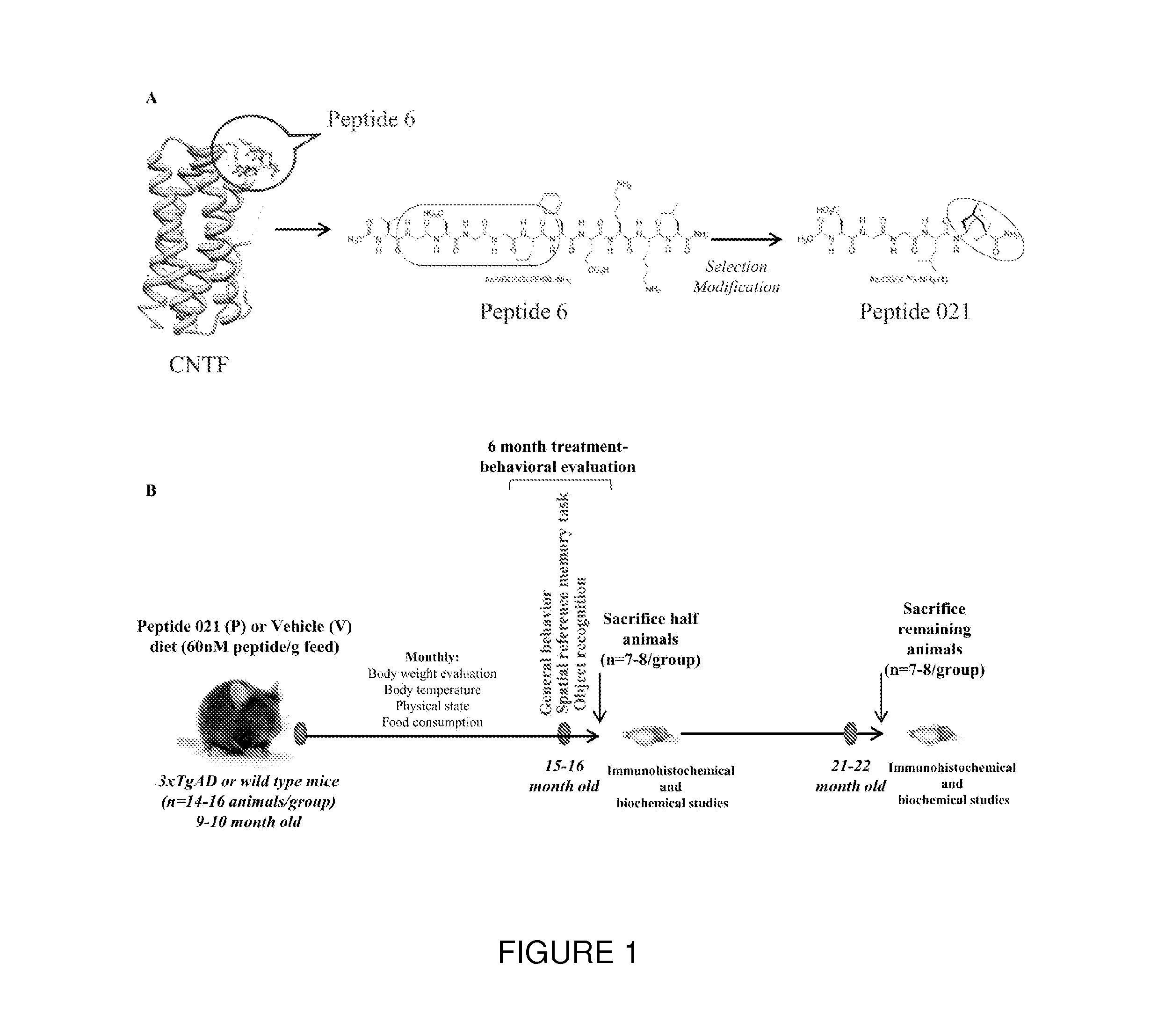 Neurotrophic peptides for the treatment of tauopathies