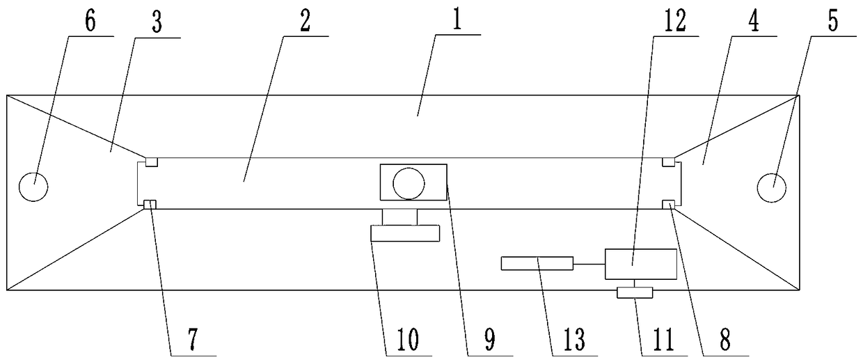 Granary pest double-viewing angle video collection device and method