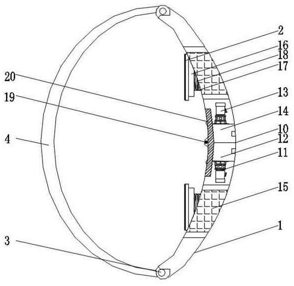 Kidney warming device for nephrology department