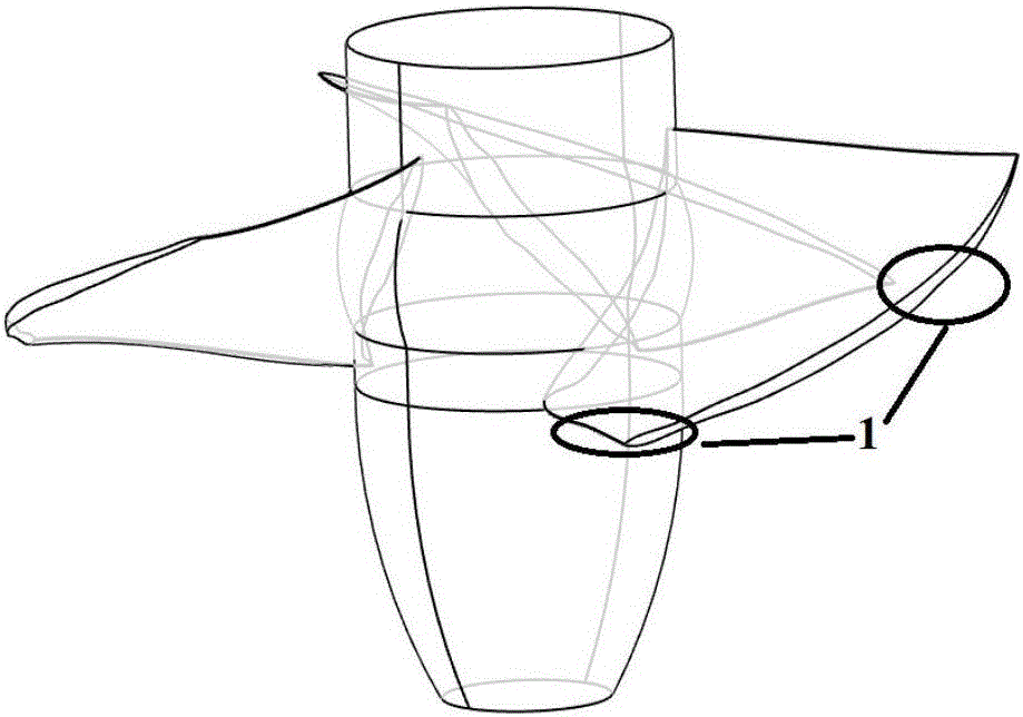 Hydraulic machinery blade surface detecting method and device