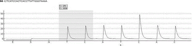 Primer pair and kit for detecting CYP3A4 genotyping by pyrosequencing