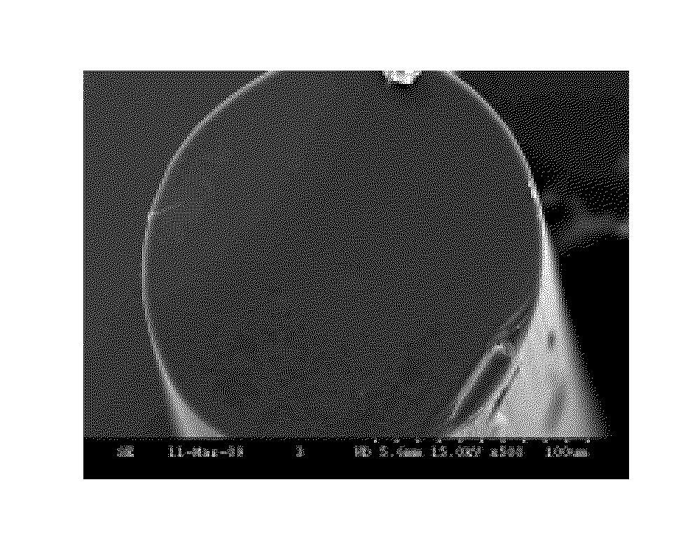 Process of melt-spinning polyacrylonitrile fiber