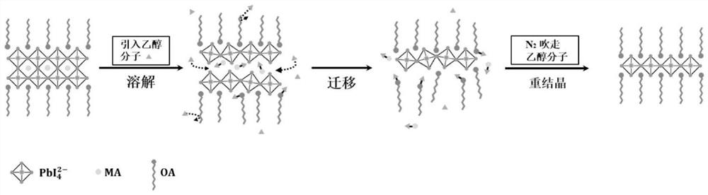 A post-processing method for regulating the crystallization process of two-dimensional perovskite by using ethanol