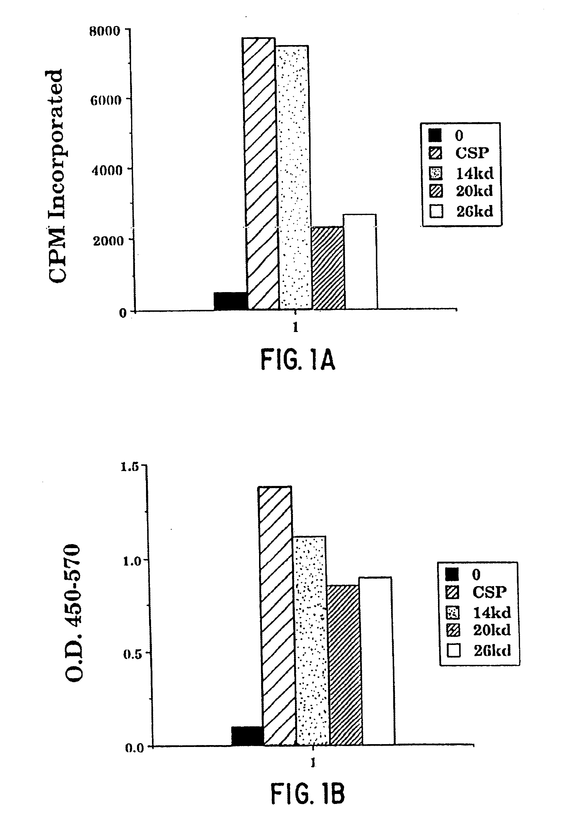 Compounds and methods for immunotherapy and diagnosis of tuberculosis