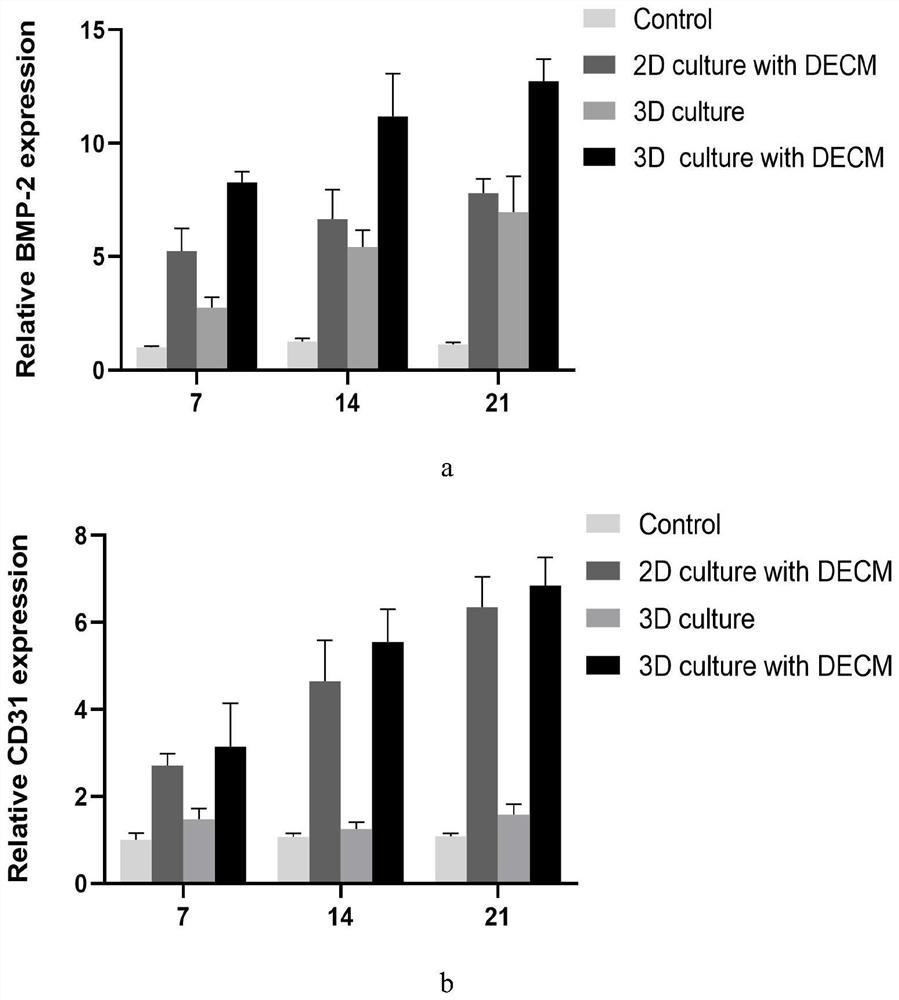 3D printed bone defect repair scaffold loaded with endothelial extracellular matrix and preparation method of 3D printed bone defect repair scaffold