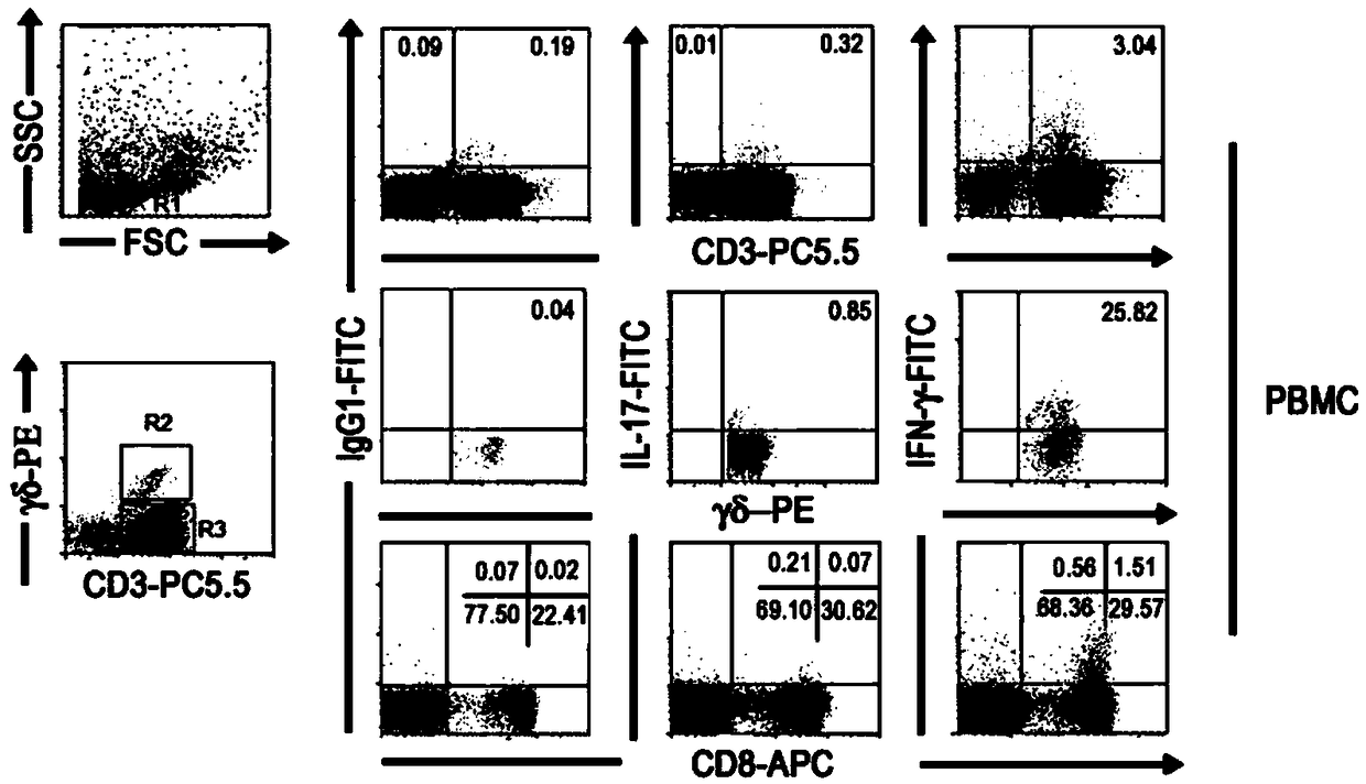 Method for improving detection rate of cytokines secreted by peripheral blood leukocytes