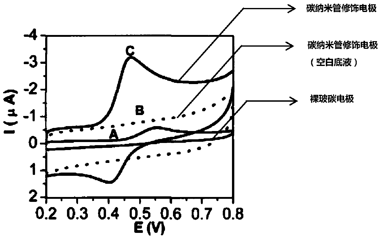 Carbon nanotube modified electrode for acetaminophen detection and preparation method of carbon nanotube modified electrode