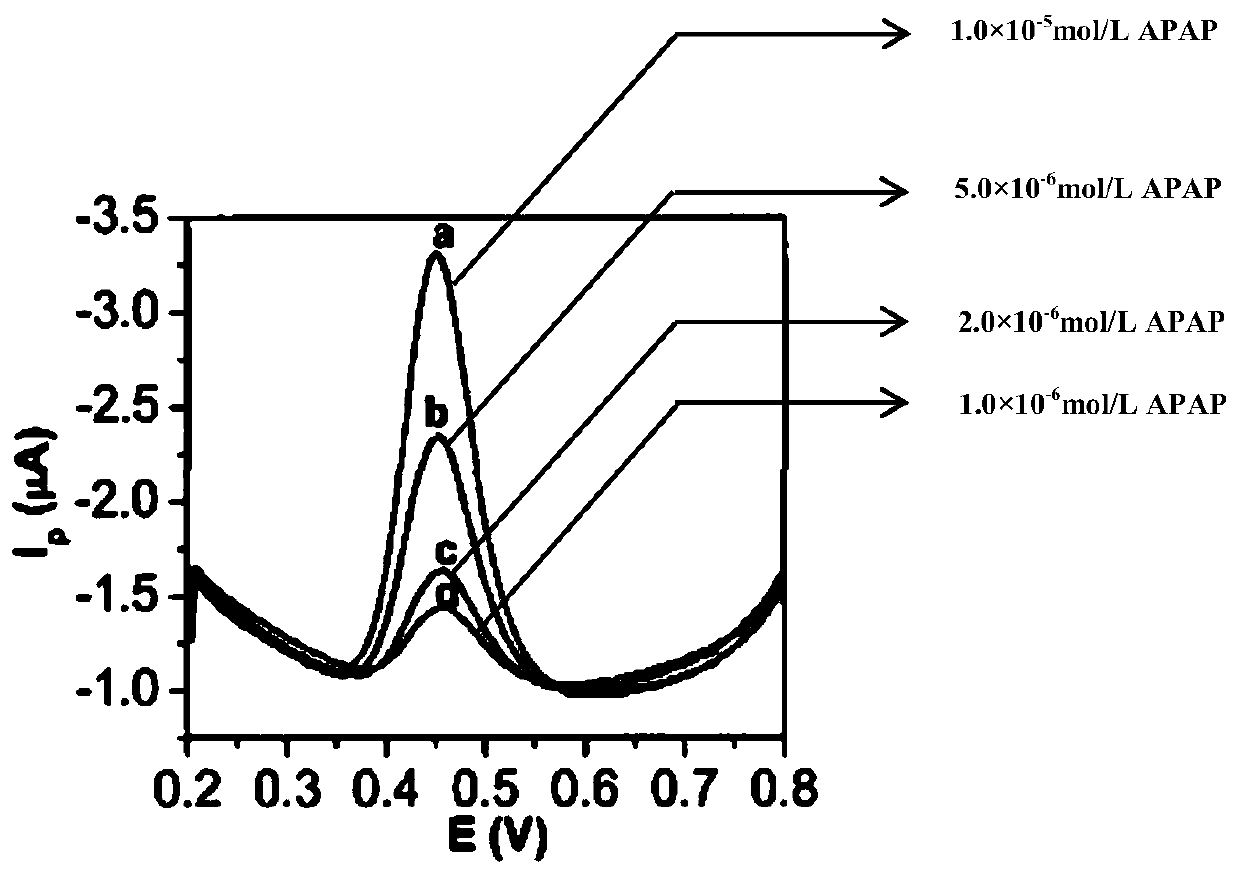 Carbon nanotube modified electrode for acetaminophen detection and preparation method of carbon nanotube modified electrode