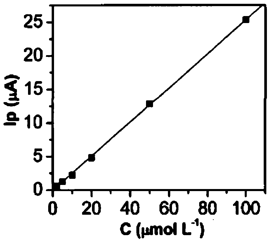 Carbon nanotube modified electrode for acetaminophen detection and preparation method of carbon nanotube modified electrode