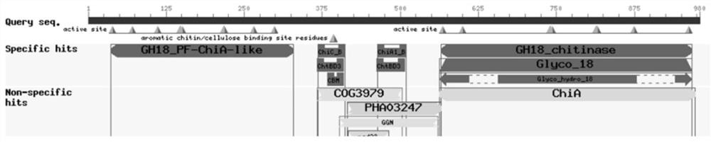 Glucoside hydrolase CmChi3 and application thereof in degradation of hydrolyzed colloid chitin