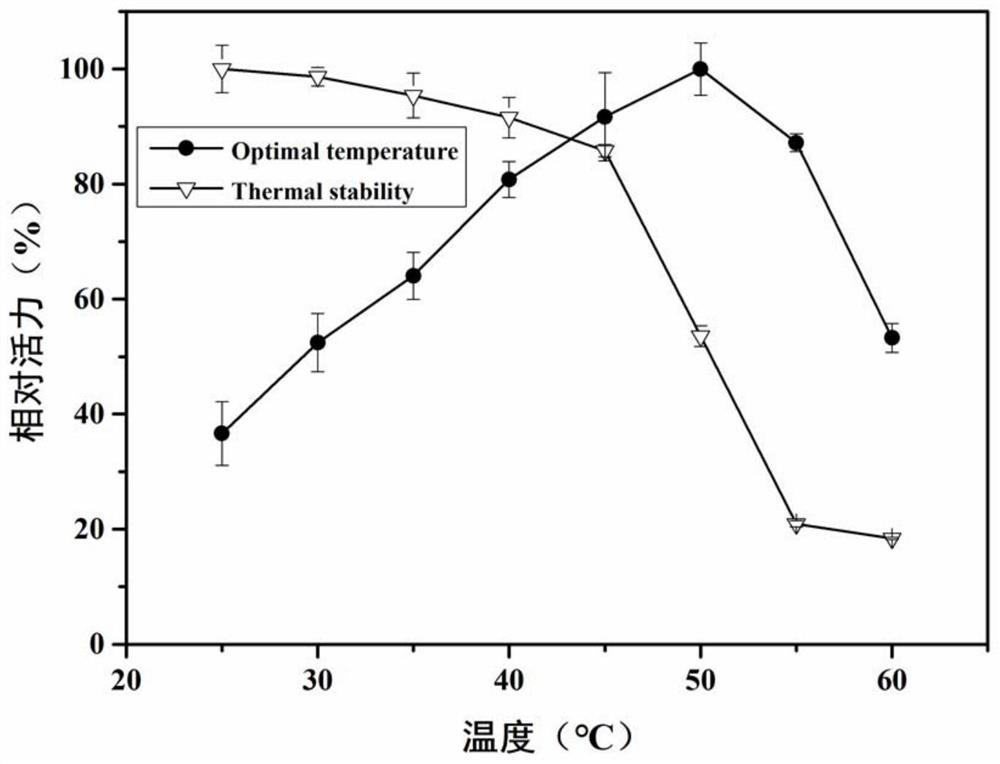 Glucoside hydrolase CmChi3 and application thereof in degradation of hydrolyzed colloid chitin