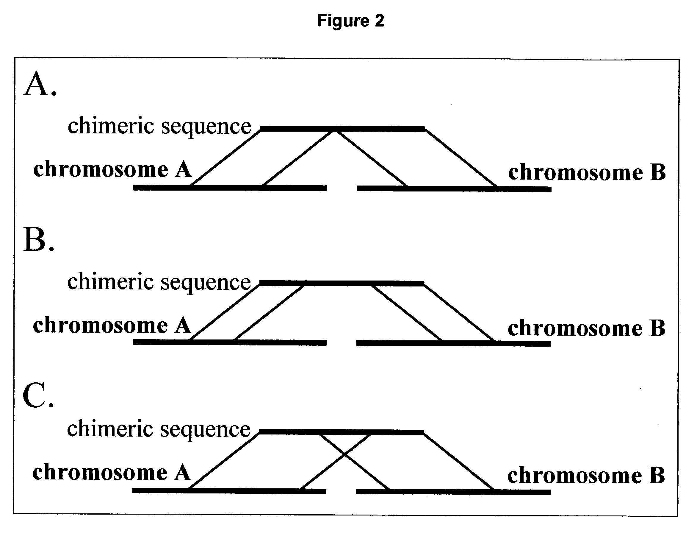 Methods and systems for identifying putative fusion transcripts, polypeptides encoded therefrom and polynucleotide sequences related thereto and methods and kits utilizing same