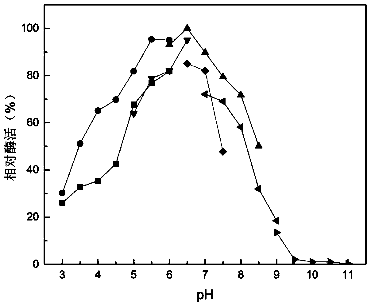 Microbulbifer arenaceous beta-galactosidase as well as encoding gene and application thereof