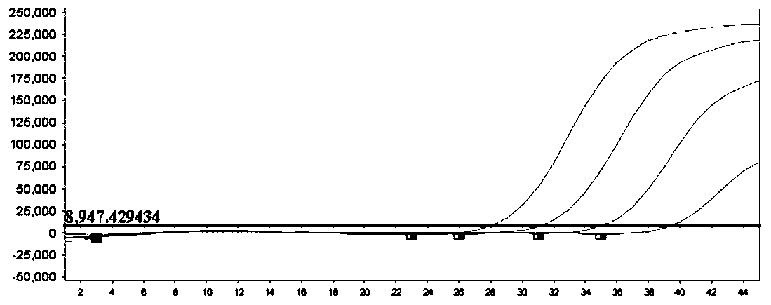 Kit for multiple detection of respiratory pathogens