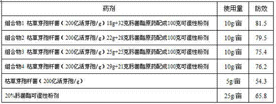 Biocontrol bacterium and trifloxystrobin composition