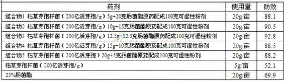 Biocontrol bacterium and trifloxystrobin composition