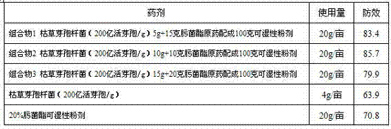 Biocontrol bacterium and trifloxystrobin composition