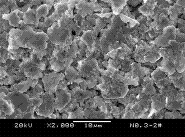 Graphene conductive paste special for lithium battery and preparation method of graphene conductive paste