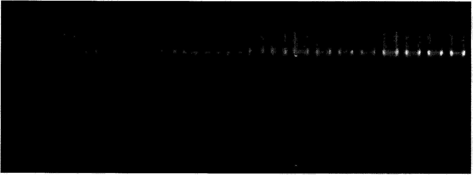 Method for amplifying and typing HLA gene and relevant primer thereof