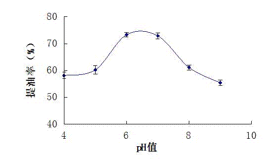 Method for preparing corylus avellana-corylus heterophylla fisch hybrid hazelnut oil by aqueous enzymatic method