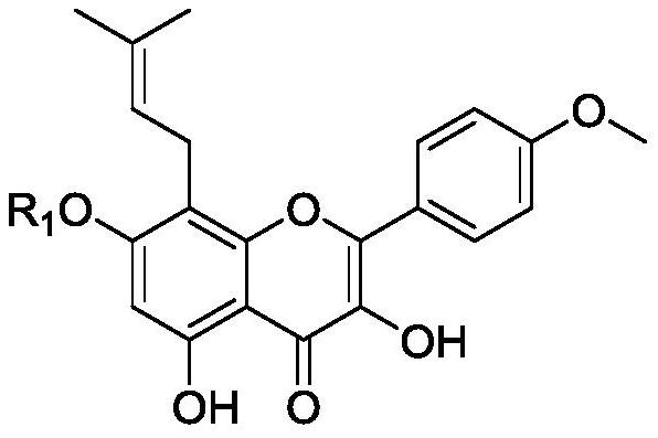 Phosphate ester derivative of herba epimedii as well as preparation method and application of phosphate ester derivative