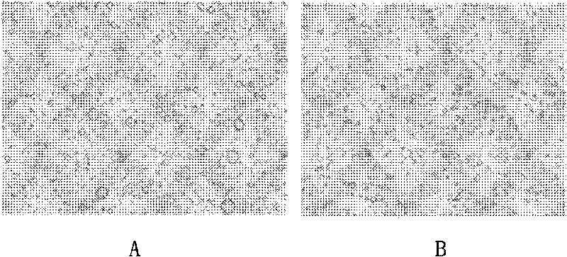 Emulsion based on stabilizing agent, preparation method and application thereof