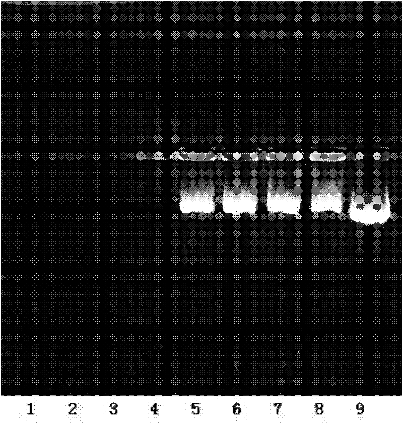 Emulsion based on stabilizing agent, preparation method and application thereof