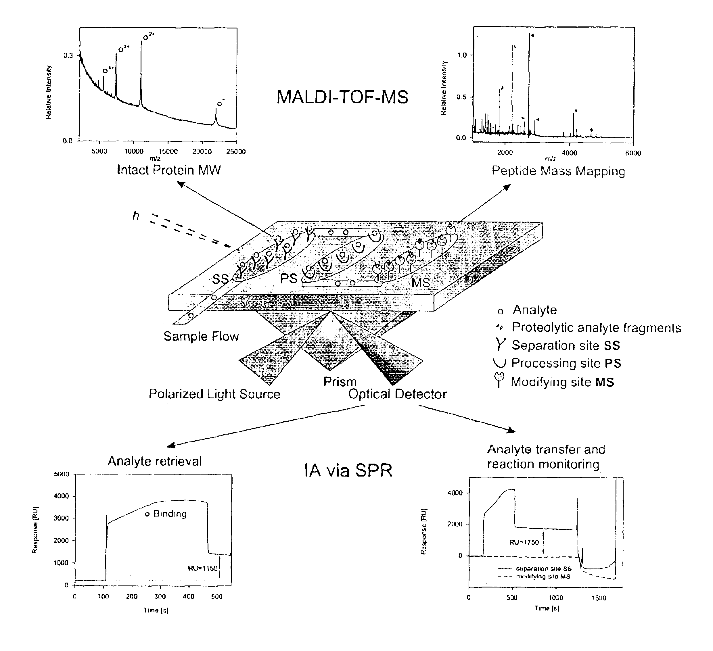 Bioactive chip mass spectrometry