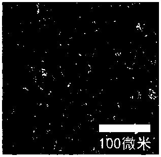 Liquid metal polymer mixed material and preparation method thereof