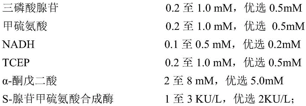 S-adenosylmethionine synthetase preparation and preparation method and application thereof