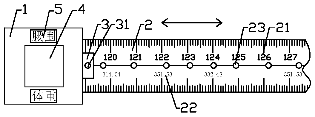 Sow weight measuring ruler